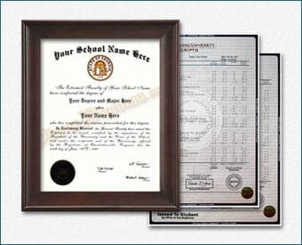 College Diploma and Transcripts, Vertical Design Col Vertical D+T